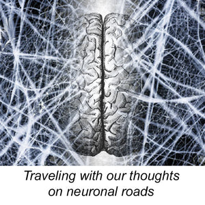 Traveling with our Thoughts on Neuronal Roads