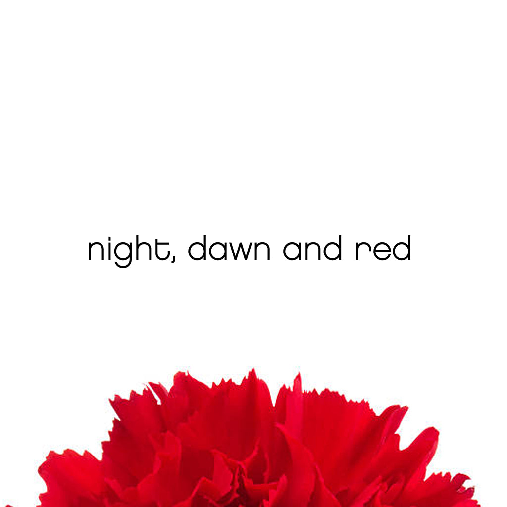 Night, Dawn and Red