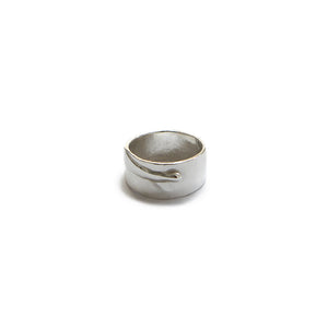 Singular Collection ring 062