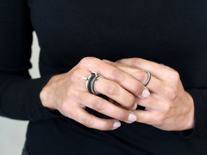 Modular Collection ring 06